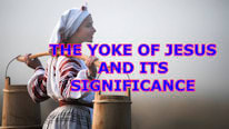 What is the significance of 'The 